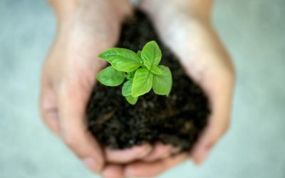 Proyecto ‘Catalyst 2030’: Andalucía comprometida con los Objetivos ODS
