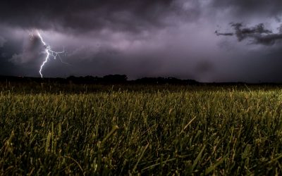 Europa, cambio climático y fenómenos extremos. El año más caliente de nuestra historia.